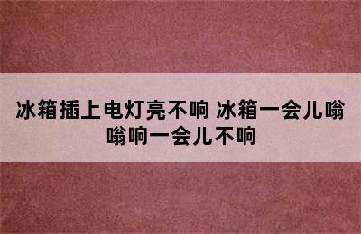 冰箱插上电灯亮不响 冰箱一会儿嗡嗡响一会儿不响